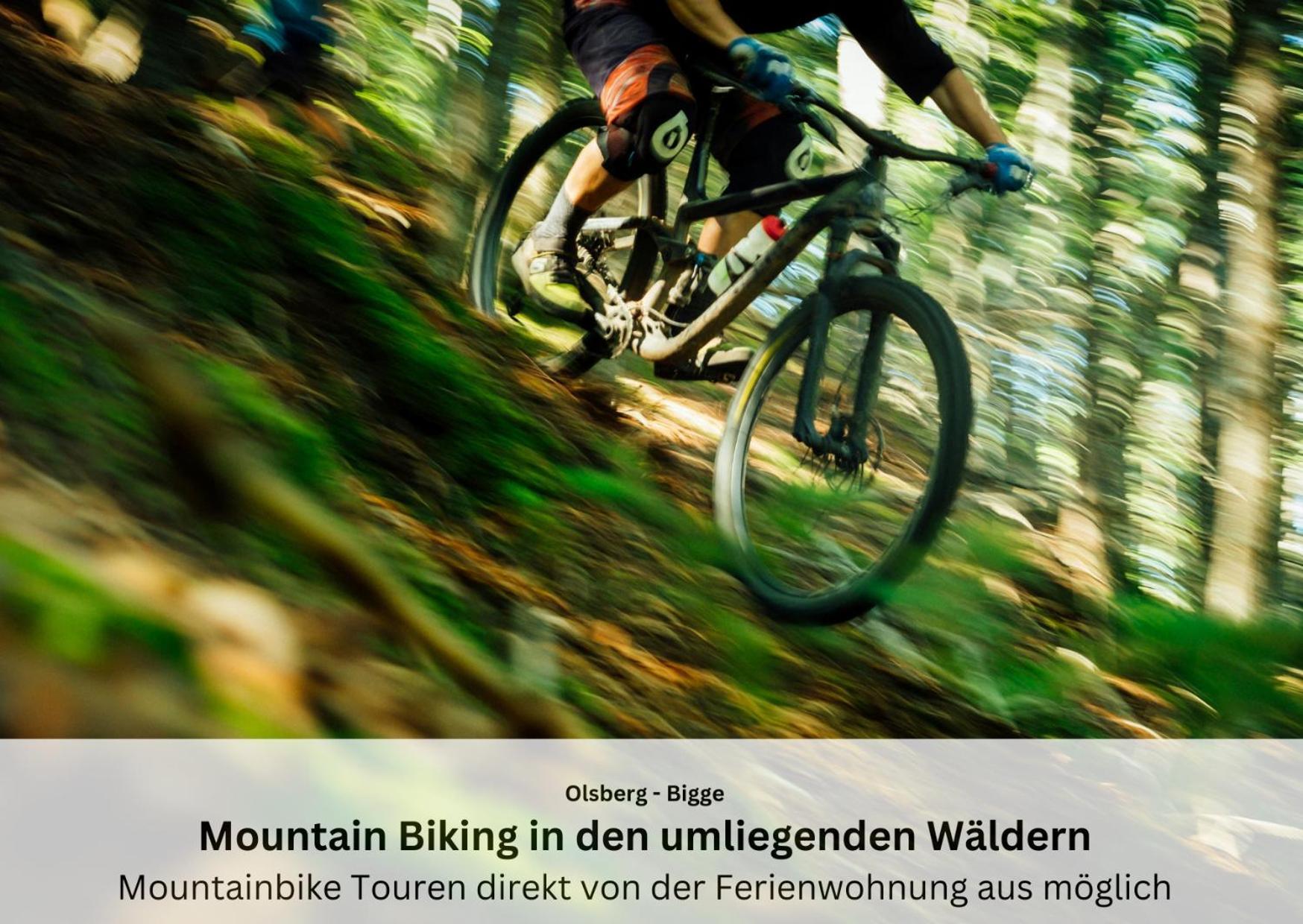 Ferienwohnungen Sauerland Und Olsberg Extérieur photo