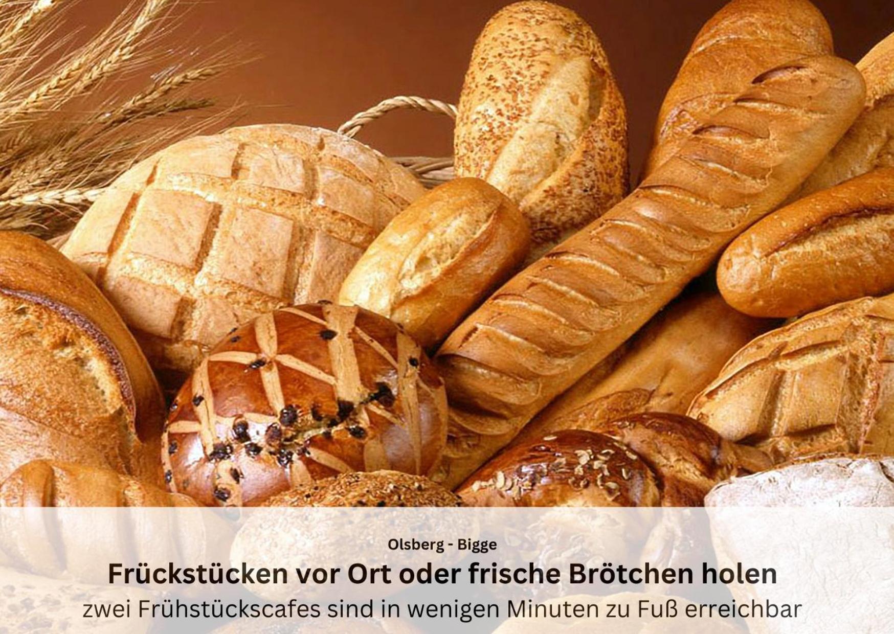 Ferienwohnungen Sauerland Und Olsberg Extérieur photo