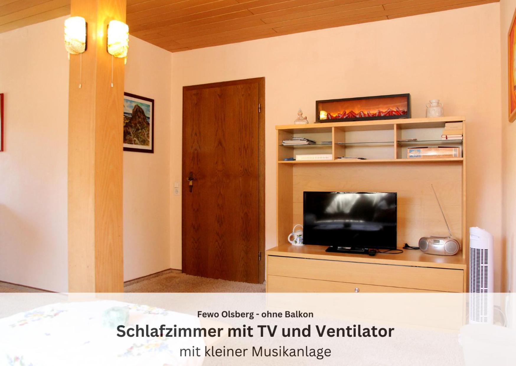 Ferienwohnungen Sauerland Und Olsberg Extérieur photo