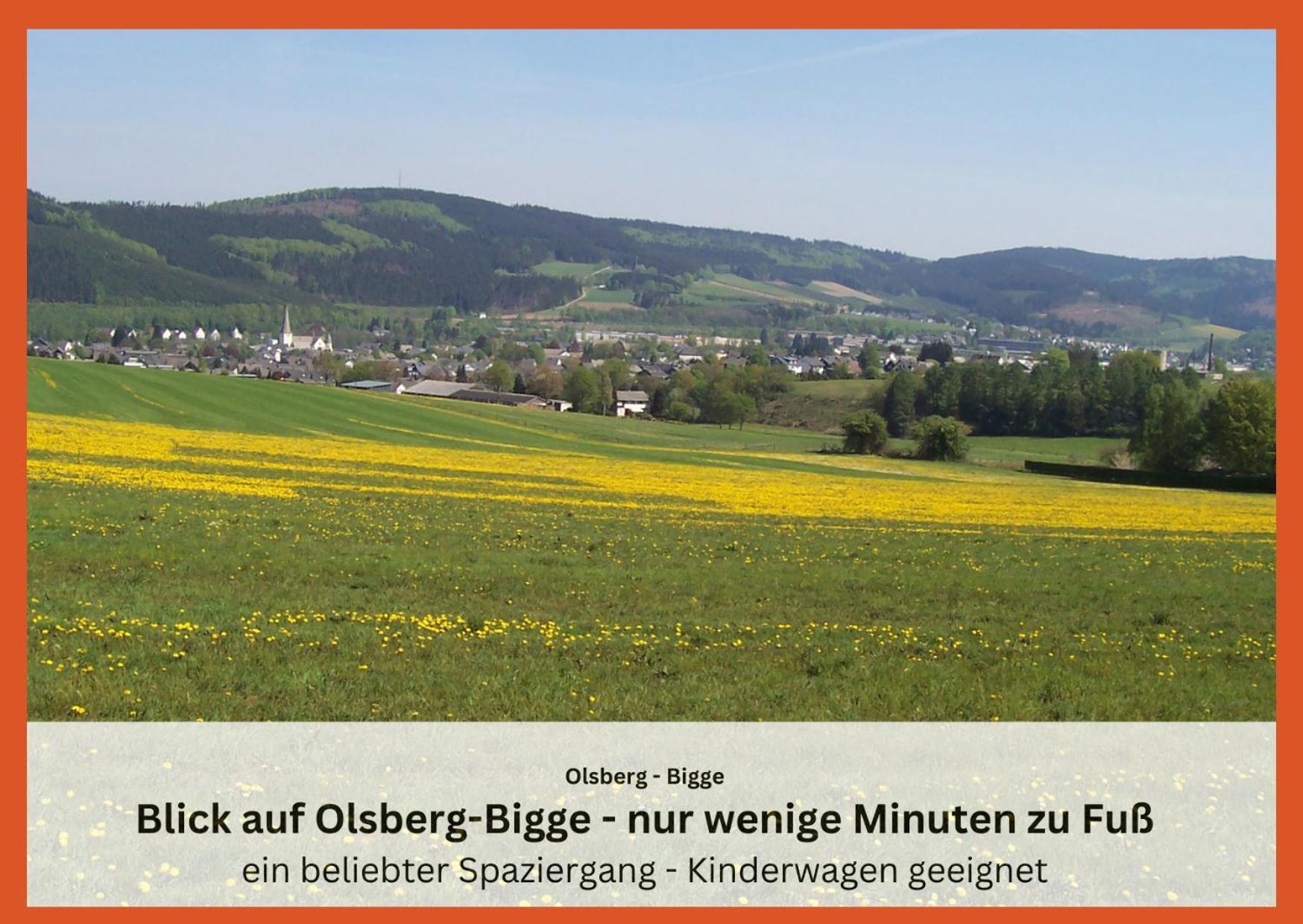 Ferienwohnungen Sauerland Und Olsberg Extérieur photo