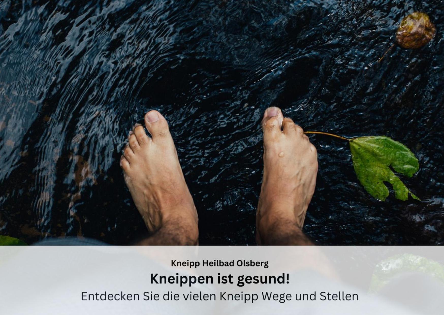 Ferienwohnungen Sauerland Und Olsberg Extérieur photo