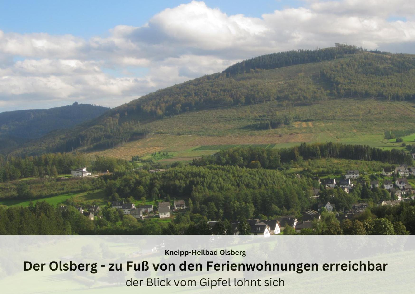 Ferienwohnungen Sauerland Und Olsberg Extérieur photo