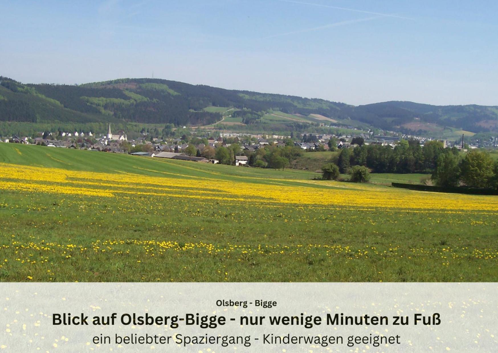 Ferienwohnungen Sauerland Und Olsberg Extérieur photo