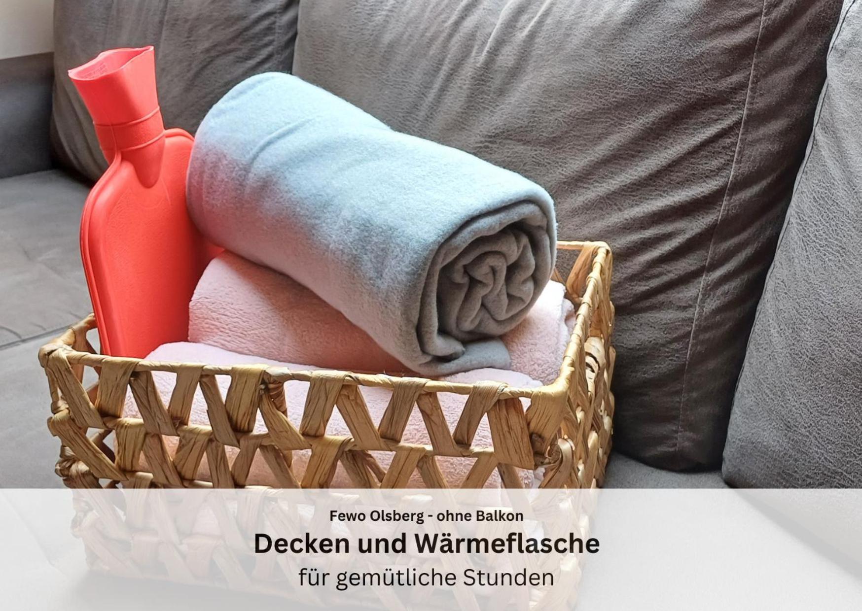Ferienwohnungen Sauerland Und Olsberg Extérieur photo