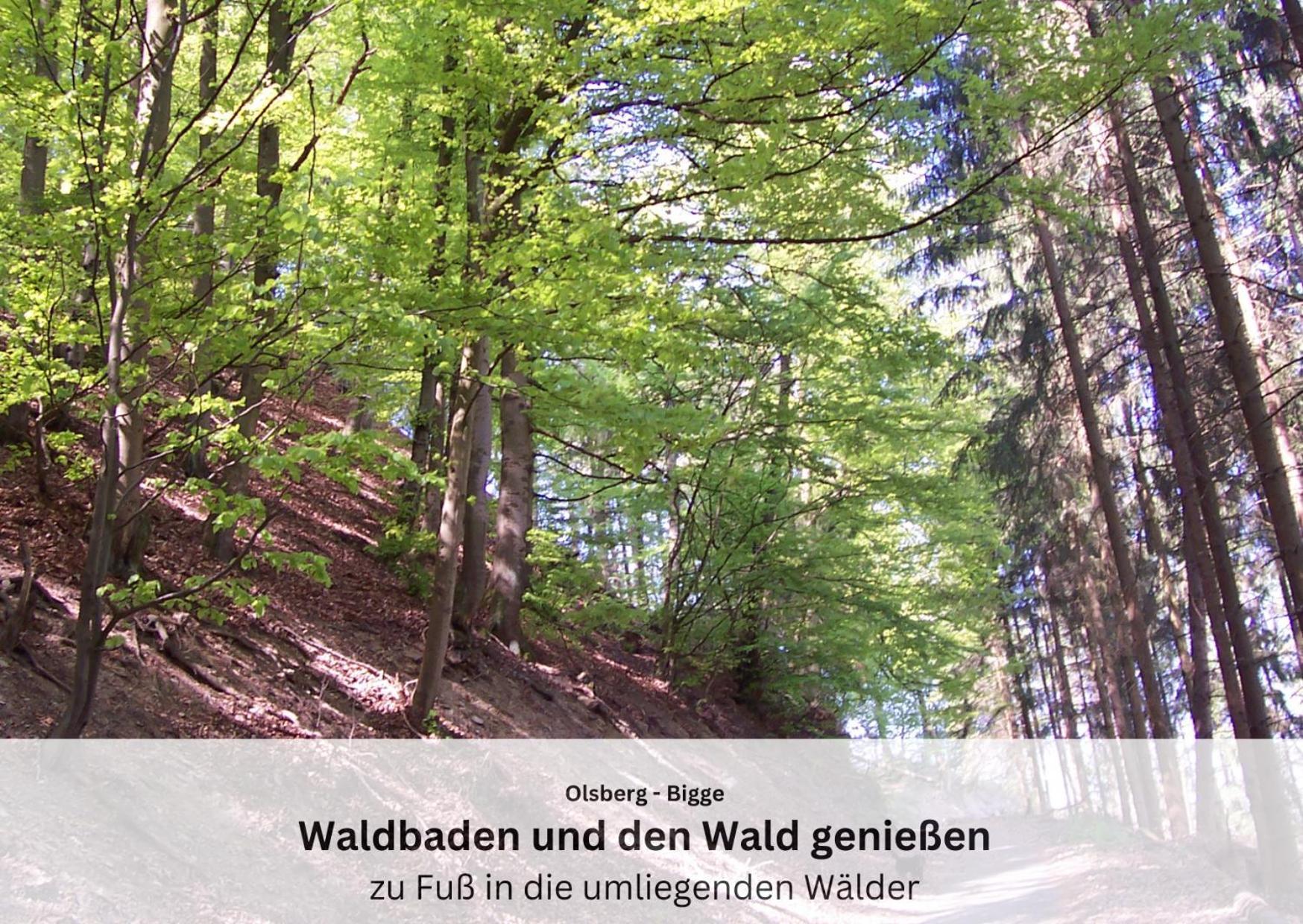 Ferienwohnungen Sauerland Und Olsberg Extérieur photo