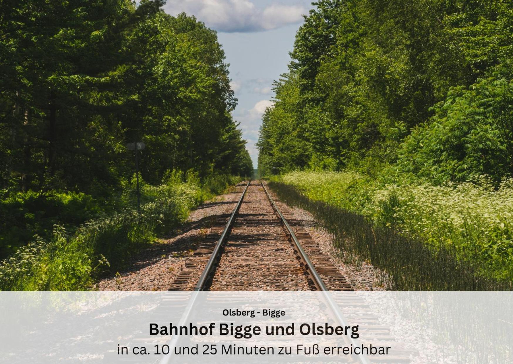 Ferienwohnungen Sauerland Und Olsberg Extérieur photo